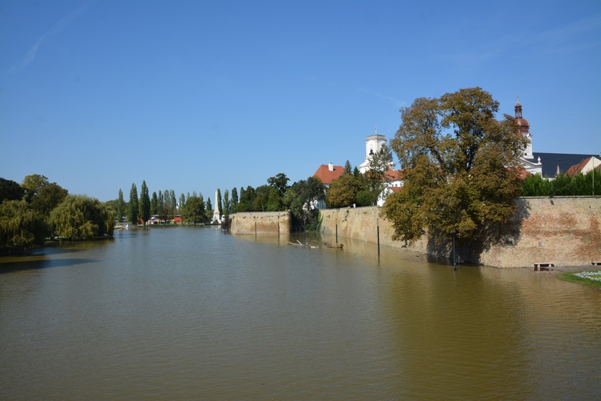 közlemény szept 19