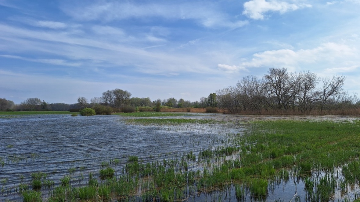 kucsérok elárasztása 2025