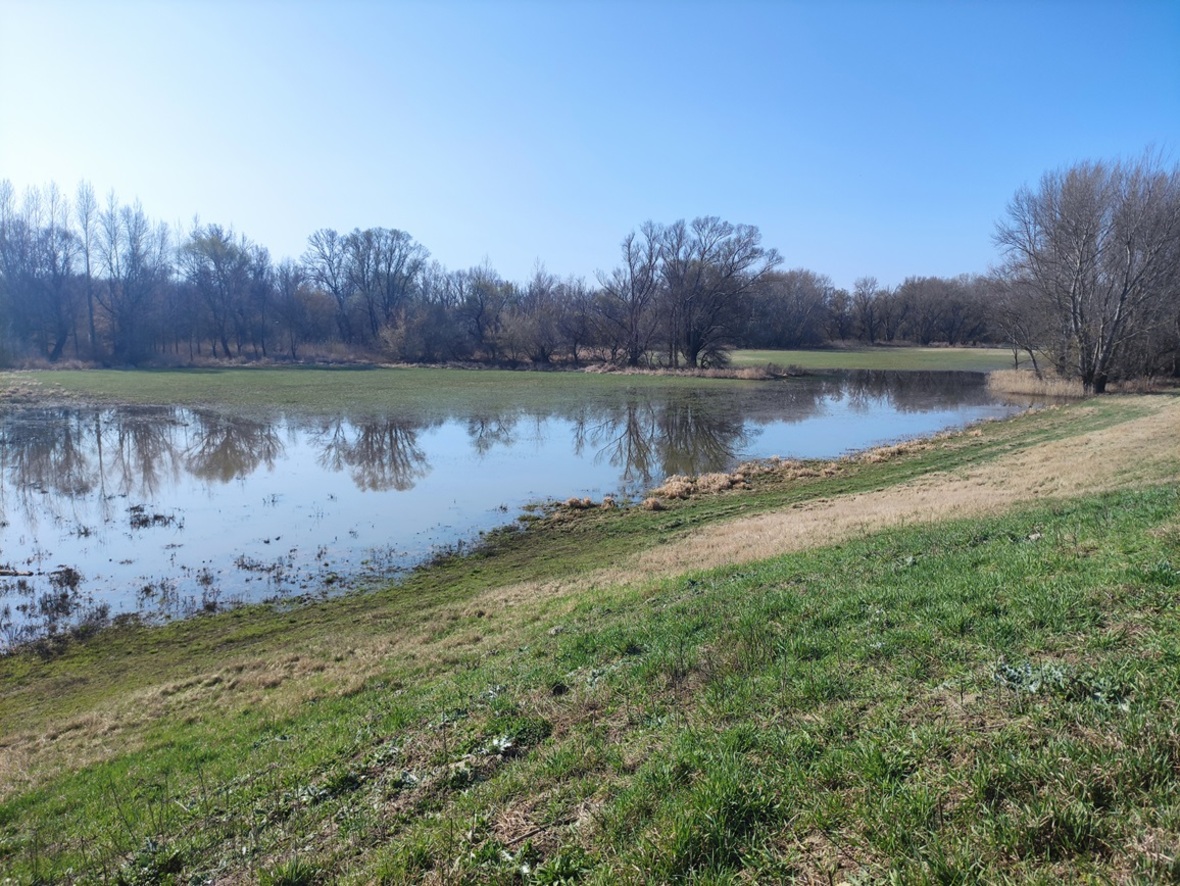 Rába vizes élőhelyek