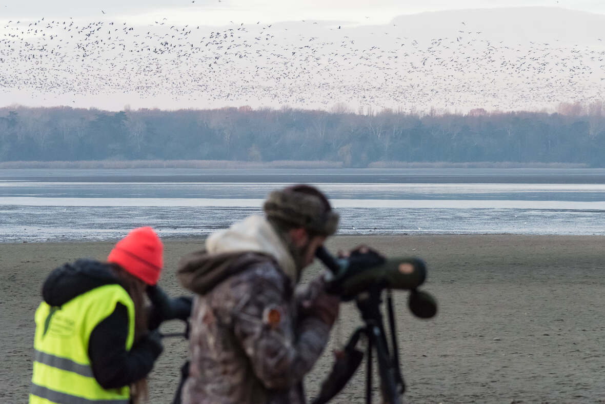 vadlúd sokadalom 2024