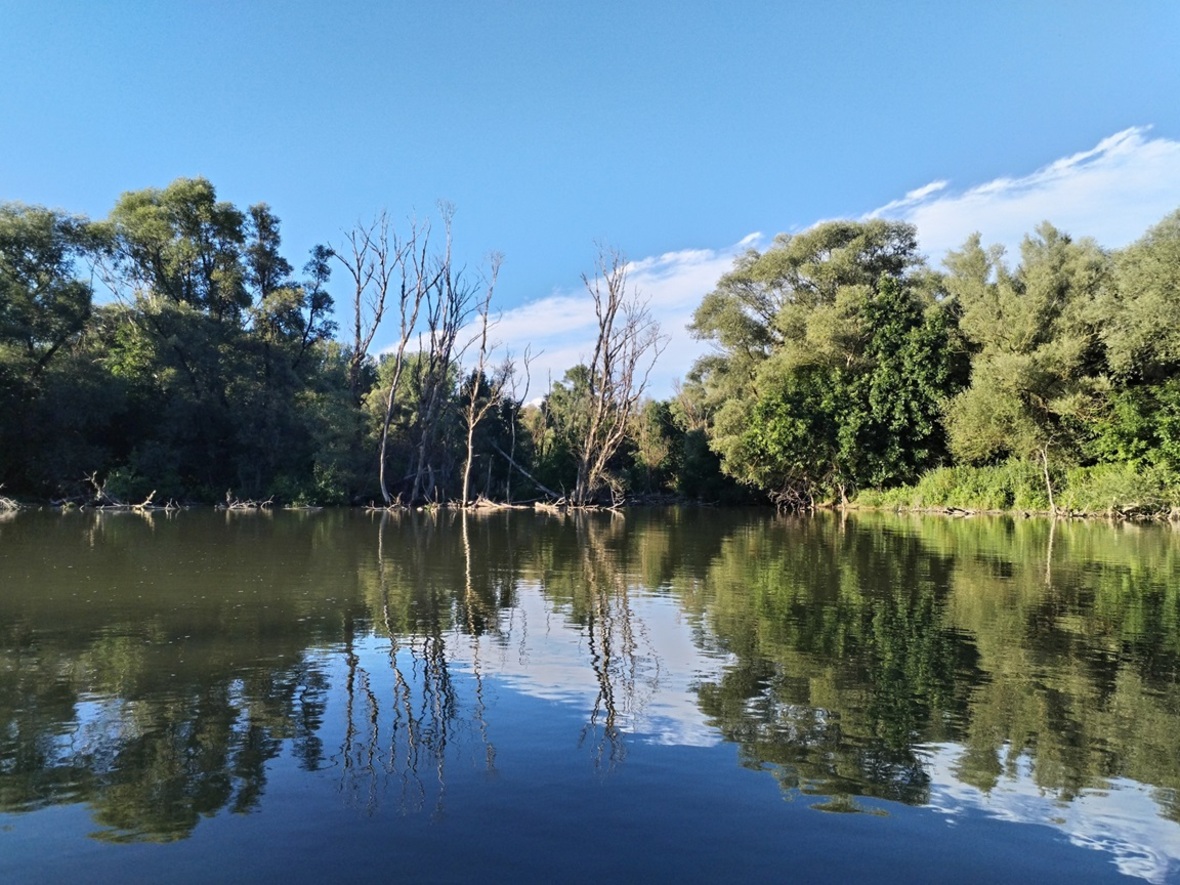 Vízpótlás szigetköz
