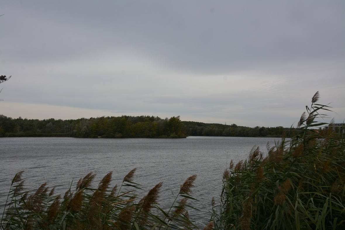 vízvisszatartás kép