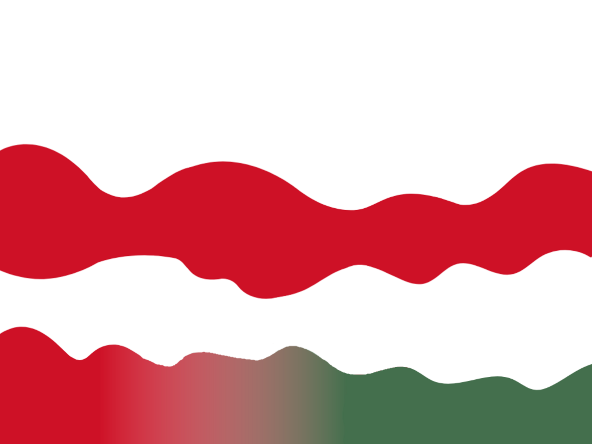 Névtelen terv (1).png