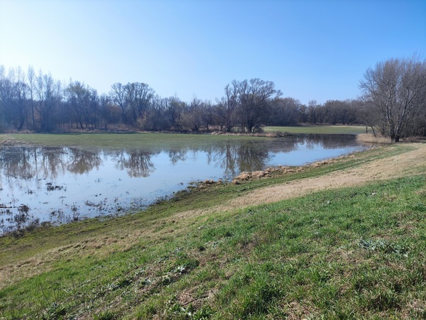 Rába vizes élőhelyek